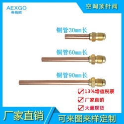 �յ����뷧(��ͭ��)